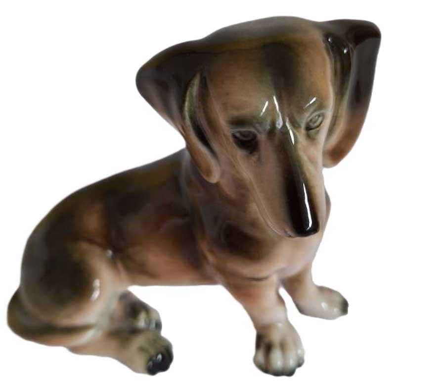 dachshund