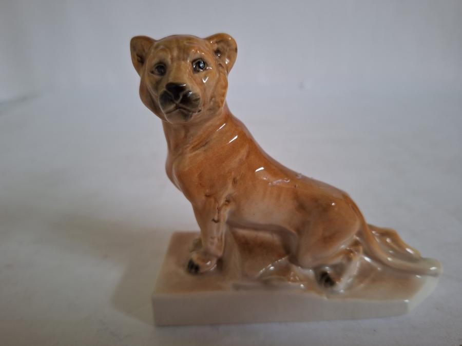 lion