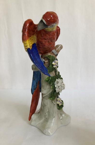 großer ,roter Papagei mit Schneeball