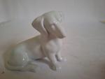 dachshund